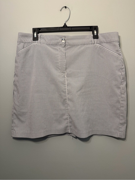 Charter Club Dresses & Skirts - Charter Club White and Navy Striped Mini Skirt